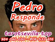 Pedro Responde