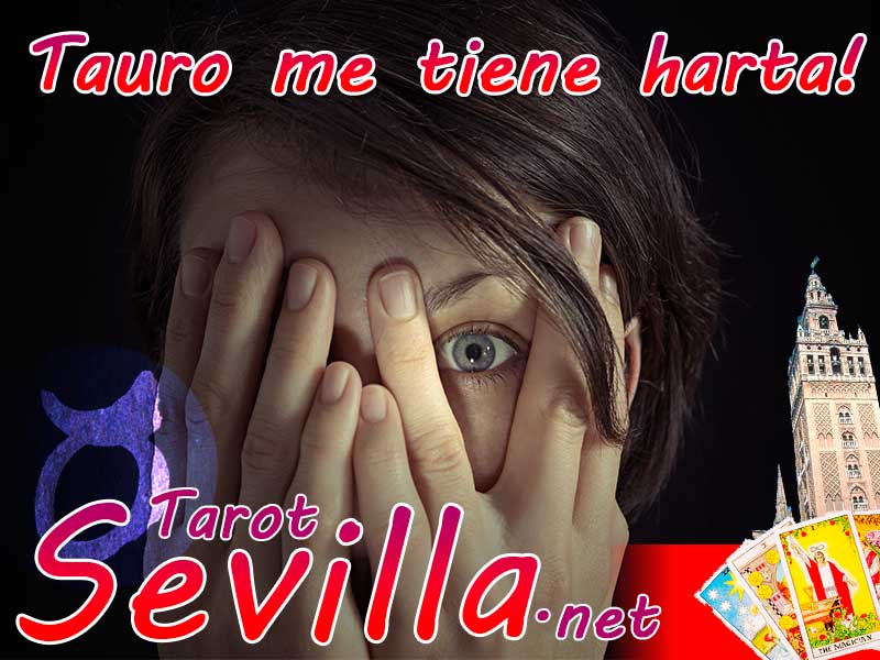 TAURO ME TIENE HARTA